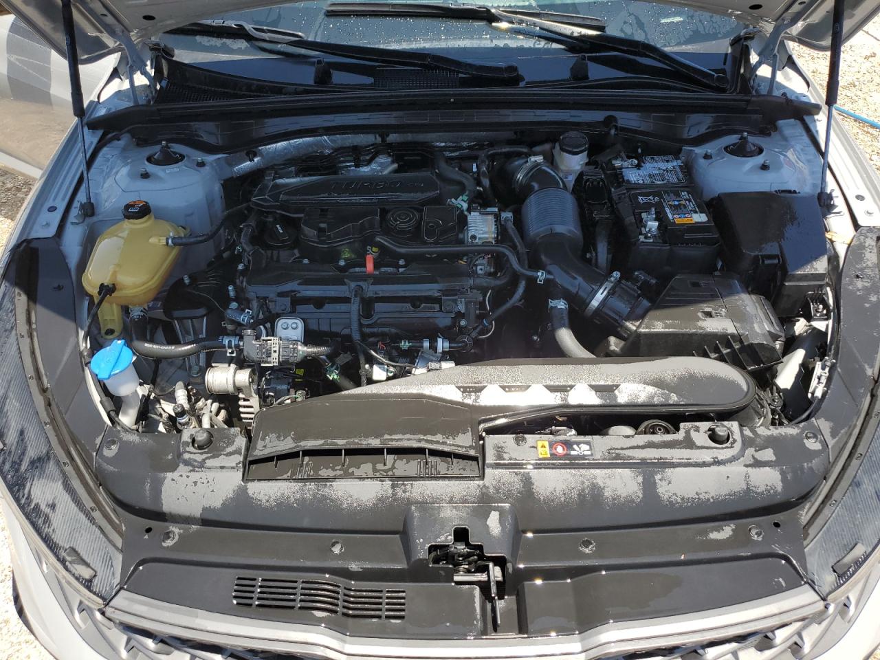 5XXG64J22PG196259 2023 Kia K5 Gt Line