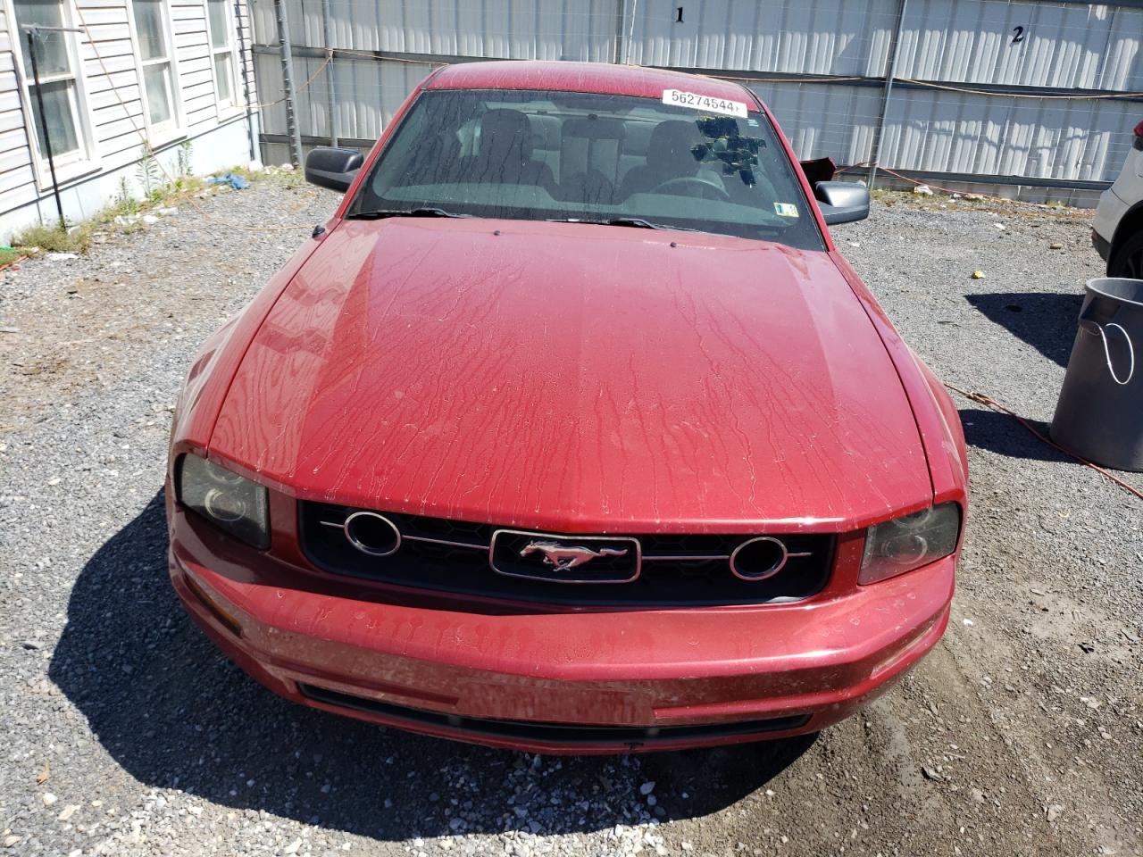 1ZVHT80N095110385 2009 Ford Mustang