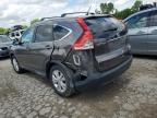 HONDA CR-V EX photo