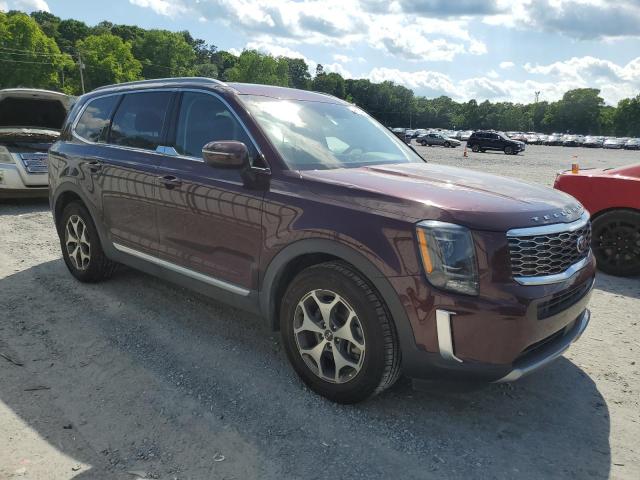 2020 Kia Telluride Ex VIN: 5XYP34HC6LG025303 Lot: 54741744