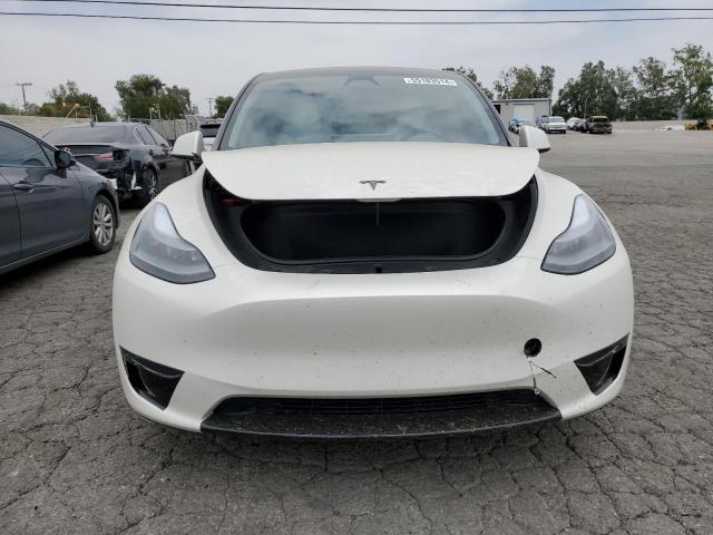 2023 Tesla Model Y VIN: 7SAYGDEE7PA178798 Lot: 55183514