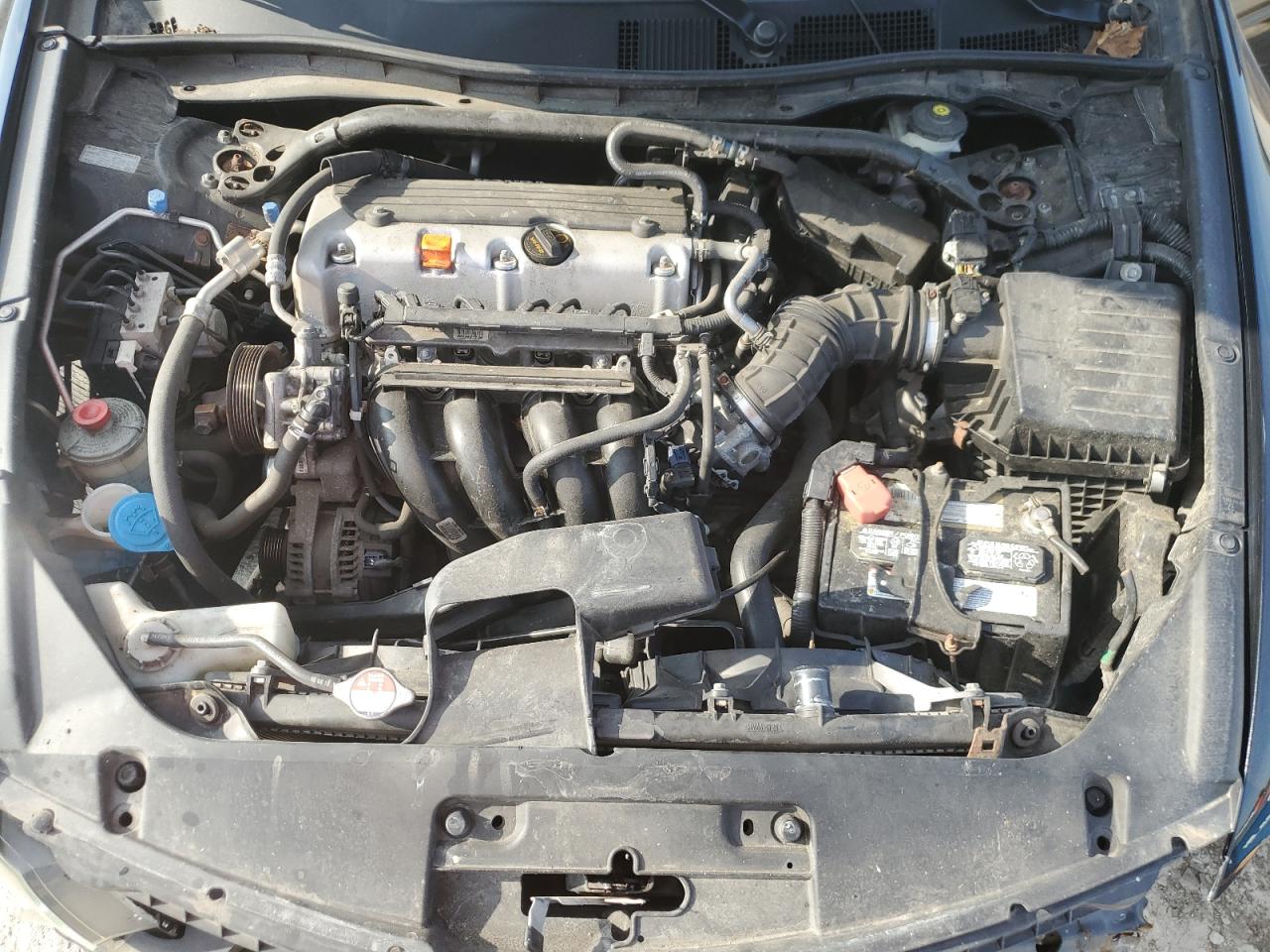 1HGCS1B33BA005695 2011 Honda Accord Lx-S