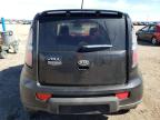 KIA SOUL + photo