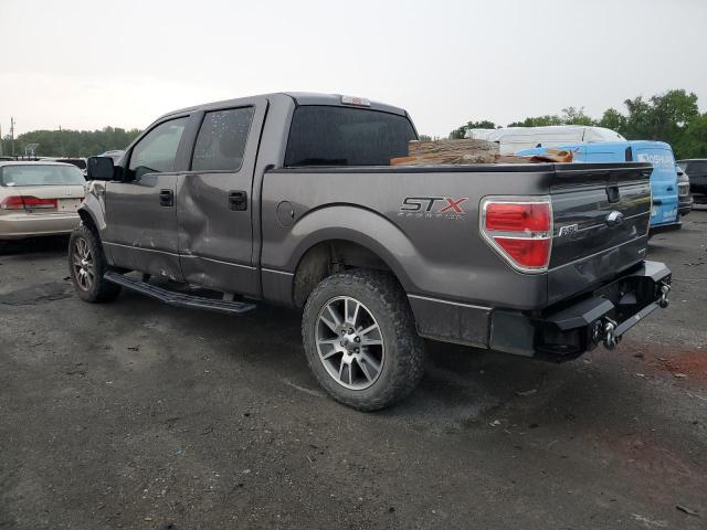 2014 Ford F150 Supercrew VIN: 1FTFW1EF4EKF38496 Lot: 53538294