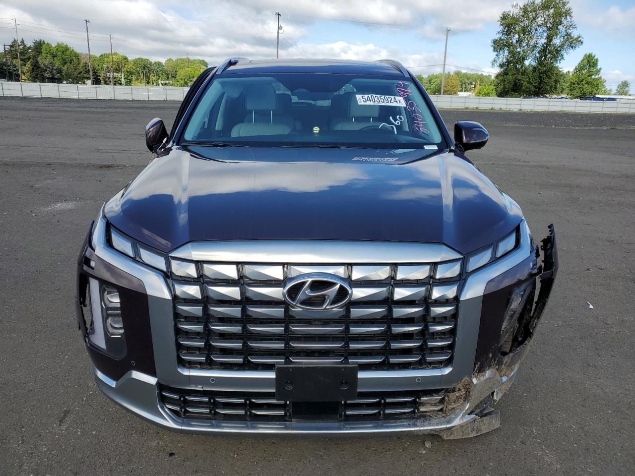 Lot #2843284621 2023 HYUNDAI PALISADE C