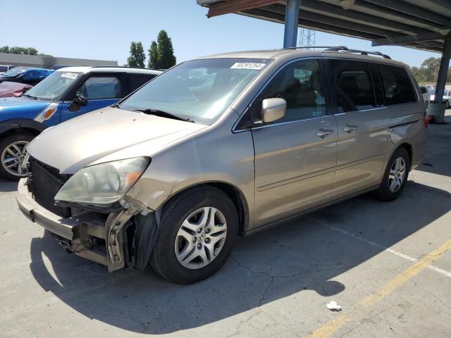 2006 Honda Odyssey Exl VIN: 5FNRL38676B401029 Lot: 55291254