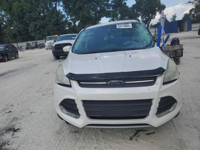 2014 Ford Escape Se VIN: 1FMCU9GX7EUB83160 Lot: 53216004