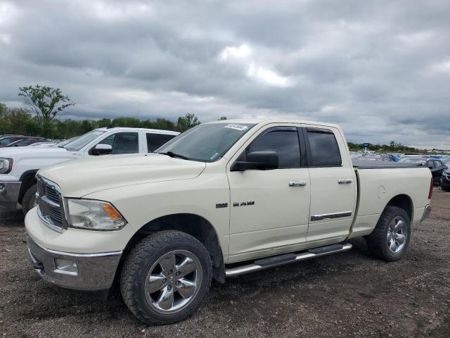 2010 Dodge Ram 1500 VIN: 1D7RV1GTXAS233491 Lot: 54241664