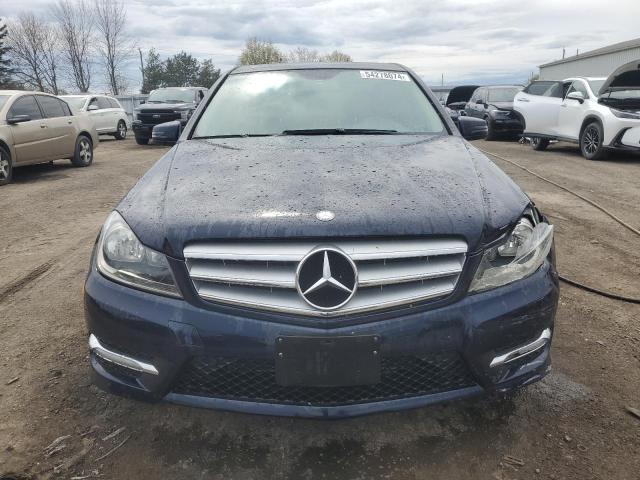 2012 Mercedes-Benz C 250 4Matic VIN: WDDGF8FB2CF877116 Lot: 54278074