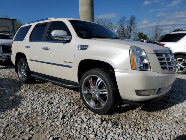 2010 Cadillac Escalade Luxury VIN: 1GYUKBEF7AR111009 Lot: 53035594