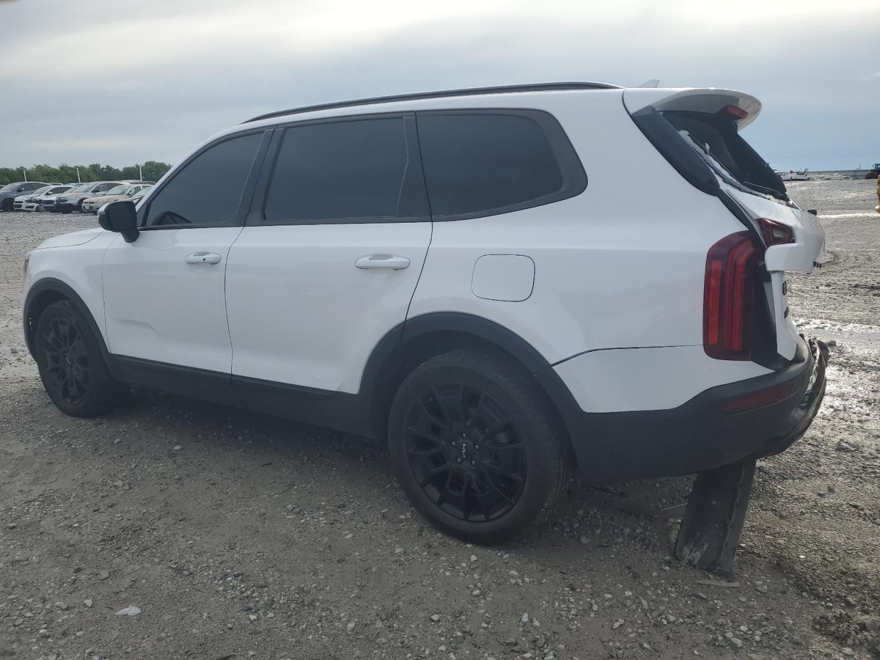 2022 Kia Telluride Ex vin: 5XYP3DHC8NG235808