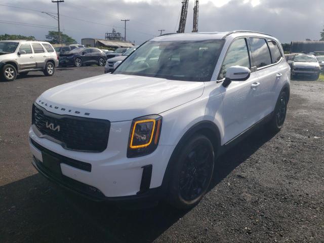 2022 Kia Telluride Sx VIN: 5XYP5DHC6NG225451 Lot: 54617934