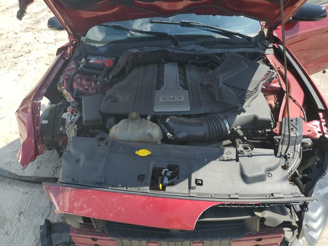 1FA6P8CFXK5119416 2019 Ford Mustang Gt