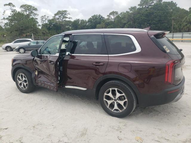 2022 Kia Telluride Ex VIN: 5XYP3DHC9NG310998 Lot: 55559874