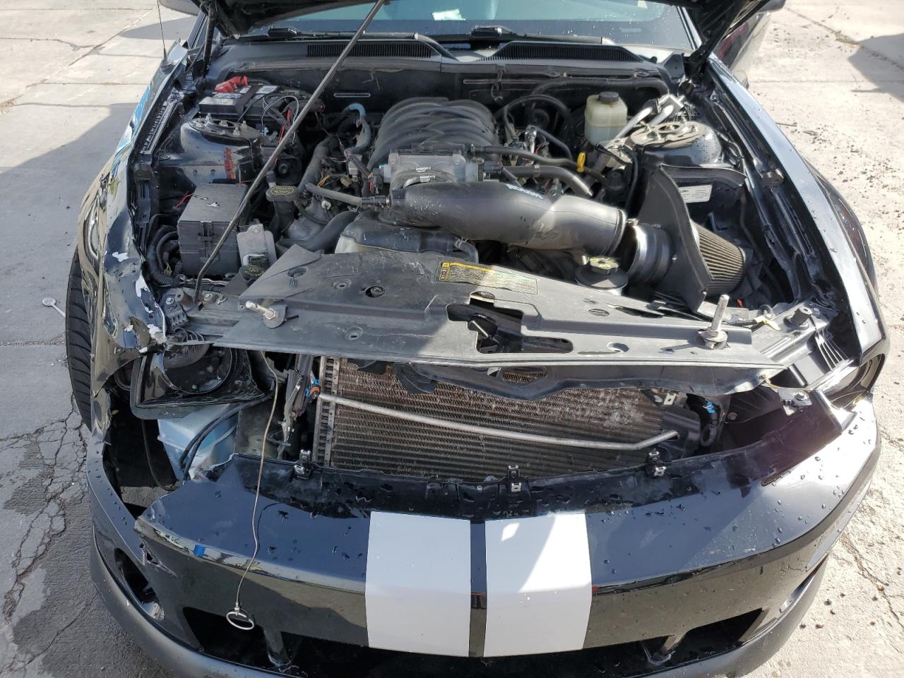 1ZVFT82HX65206650 2006 Ford Mustang Gt