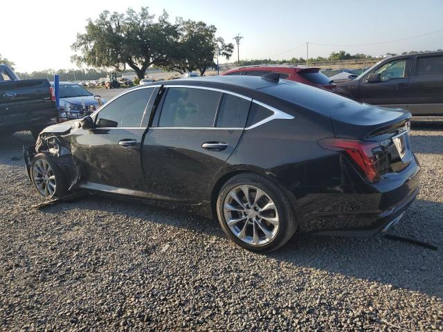 2020 Cadillac Ct5 Premium Luxury VIN: 1G6DN5RK9L0146229 Lot: 54093934