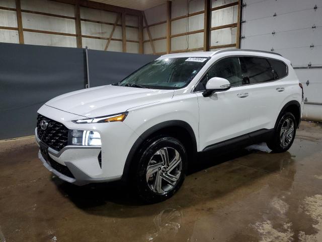 2023 Hyundai Santa Fe Sel VIN: 5NMS2DAJ3PH603861 Lot: 57130564