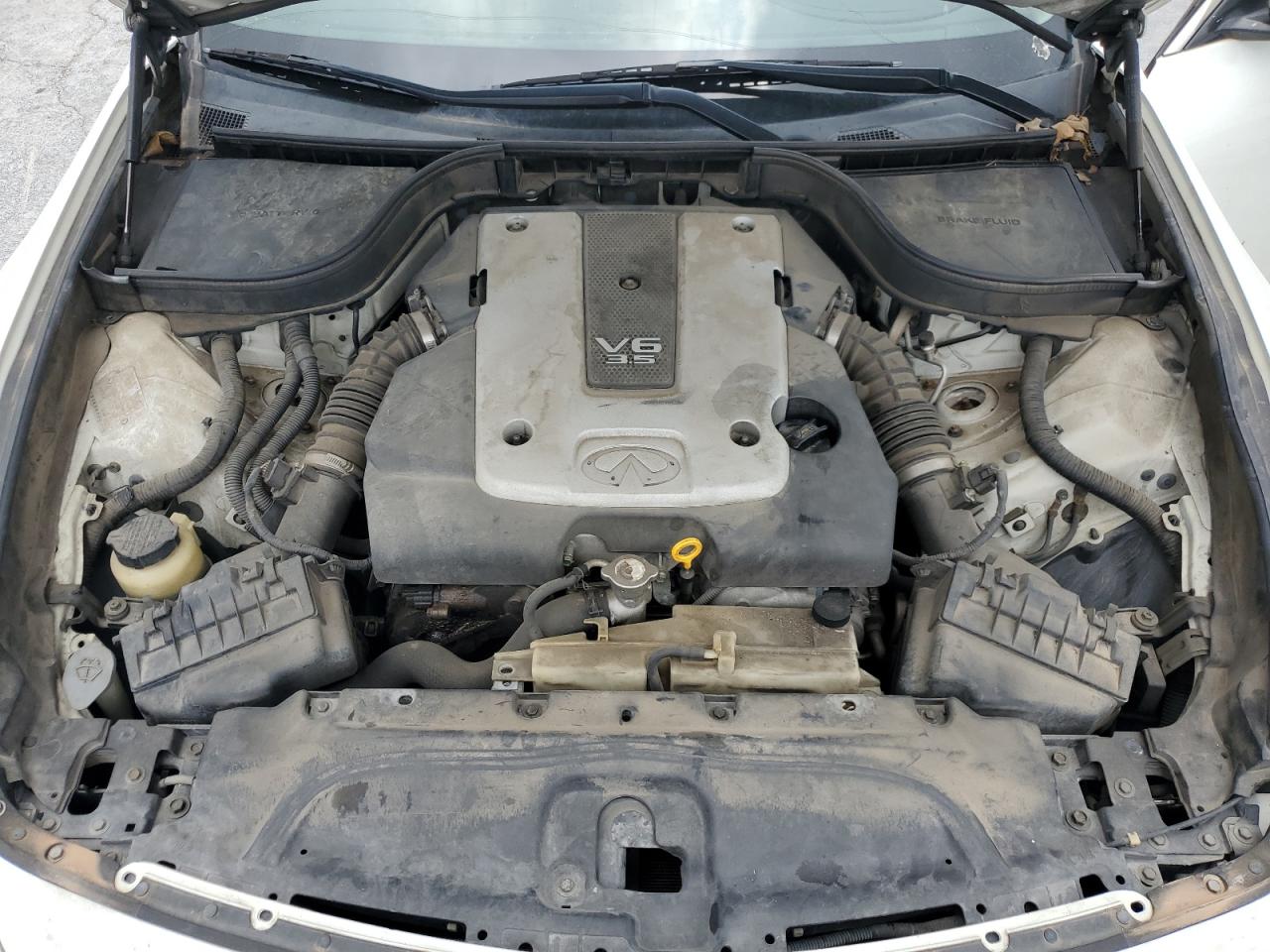 JNKBV61EX7M713156 2007 Infiniti G35