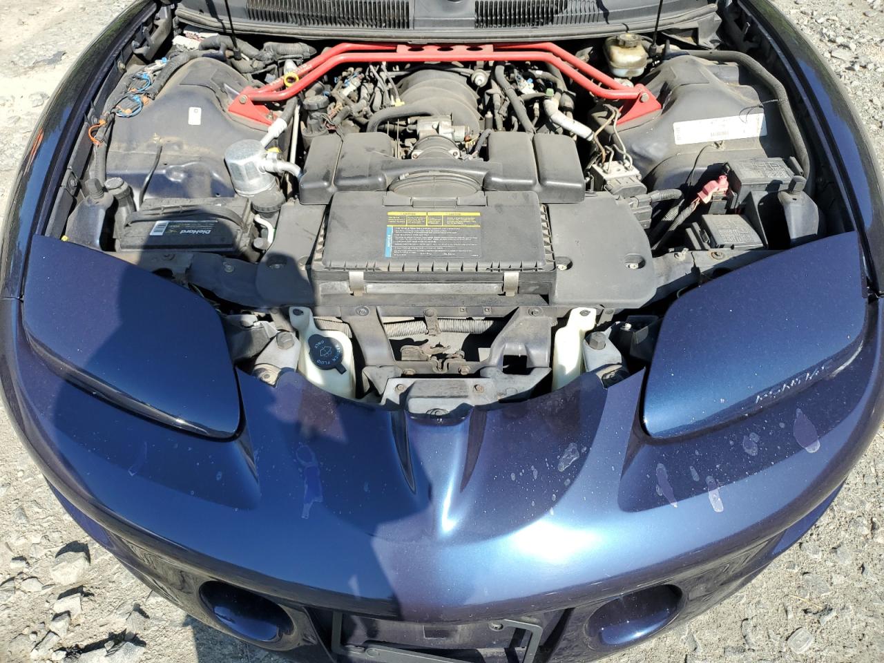 2G2FV22G4W2214115 1998 Pontiac Firebird Formula