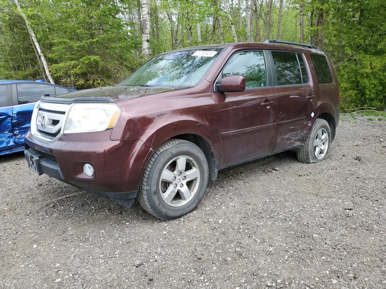 5FNYF4H51BB502786 2011 Honda Pilot Exl