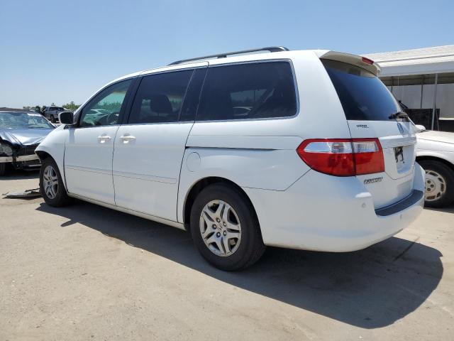 2007 Honda Odyssey Exl VIN: 5FNRL38647B452330 Lot: 55898954