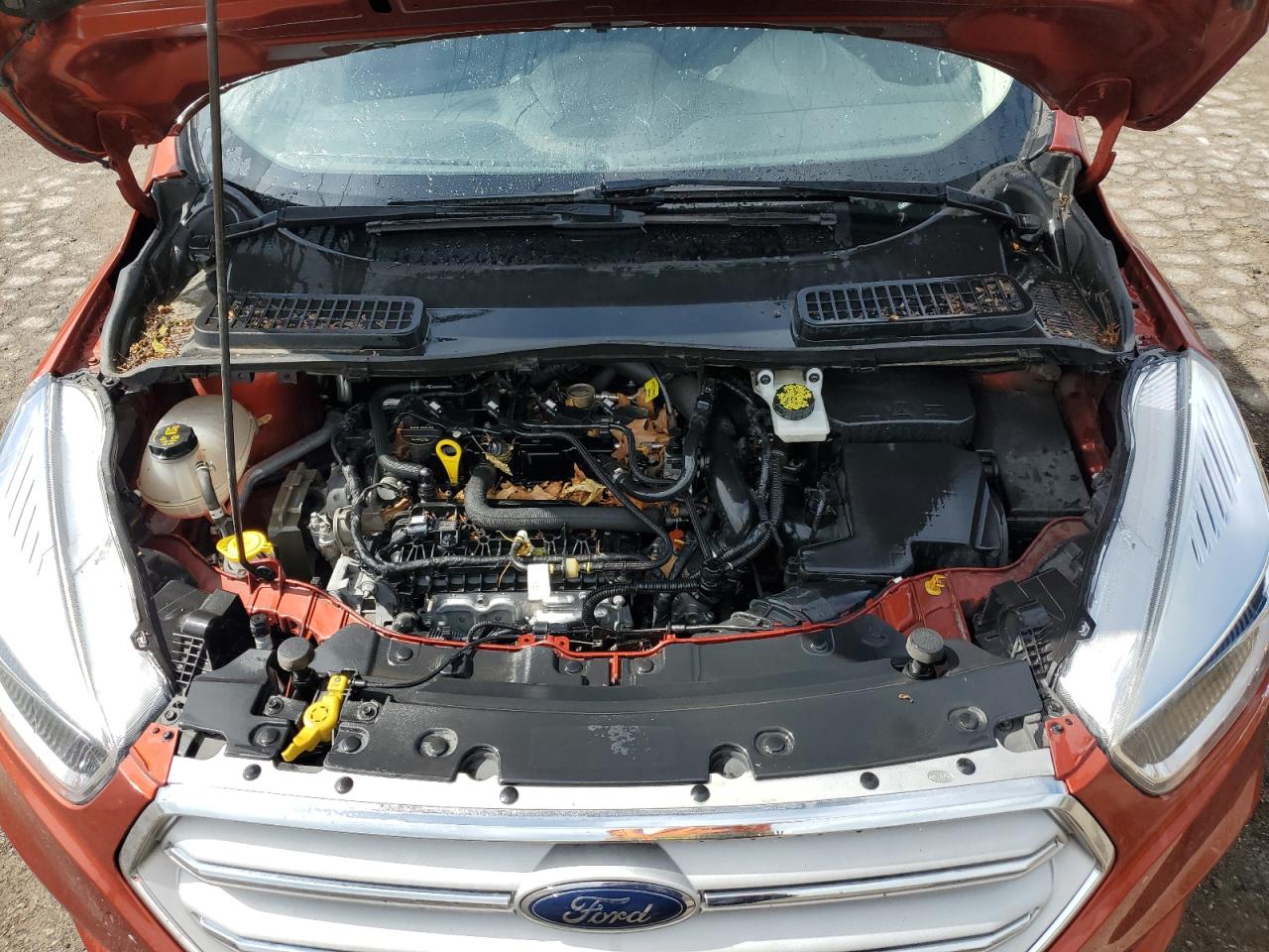 1FMCU9GD9KUB24306 2019 Ford Escape Se