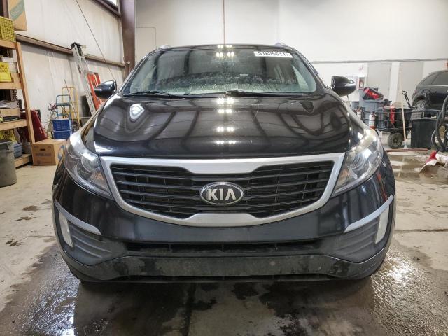 2013 Kia Sportage Lx VIN: KNDPBCA26D7451523 Lot: 51805614