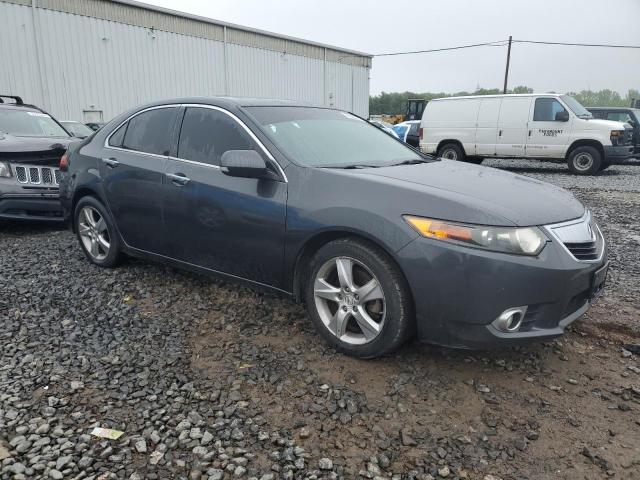 2011 Acura Tsx VIN: JH4CU2F65BC010287 Lot: 53089164