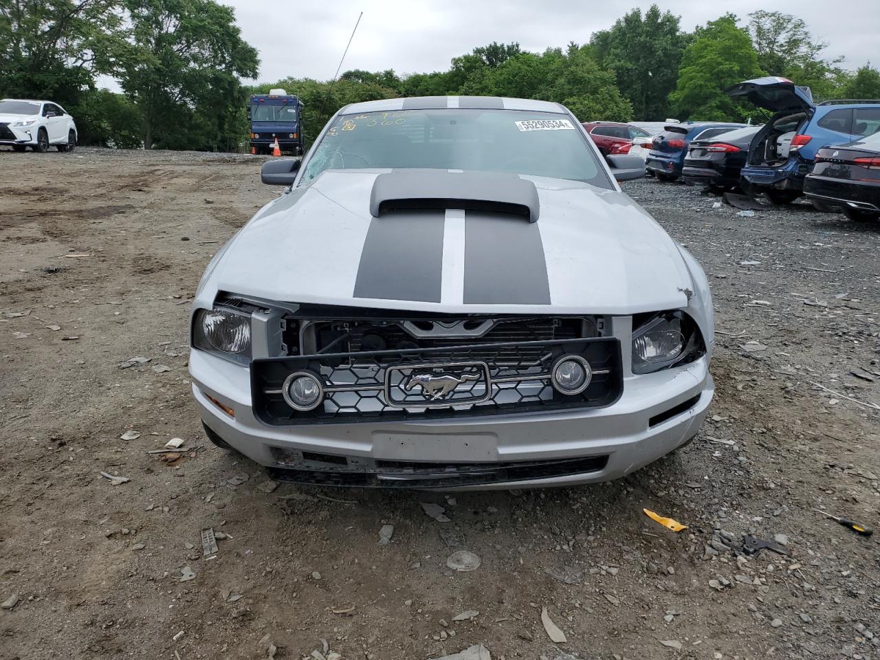 1ZVFT80N465248823 2006 Ford Mustang