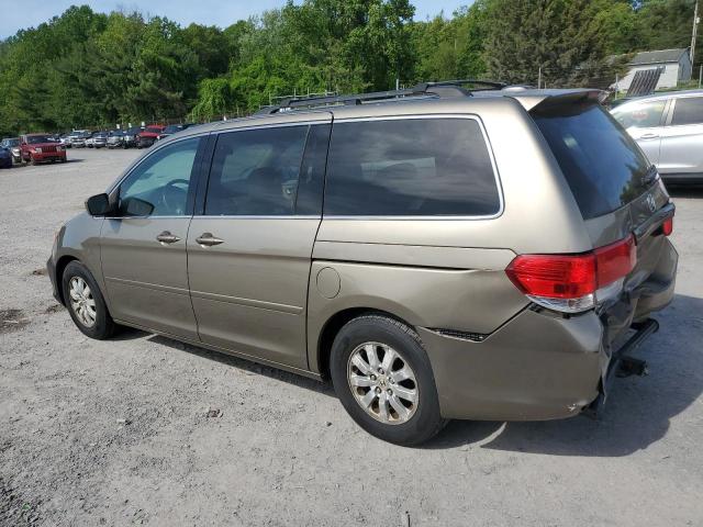 2009 Honda Odyssey Exl VIN: 5FNRL38709B402164 Lot: 54031924