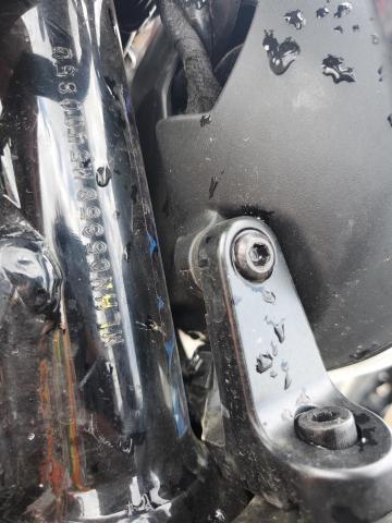 2021 HONDA CMX300 A MLHNC5358M5400850