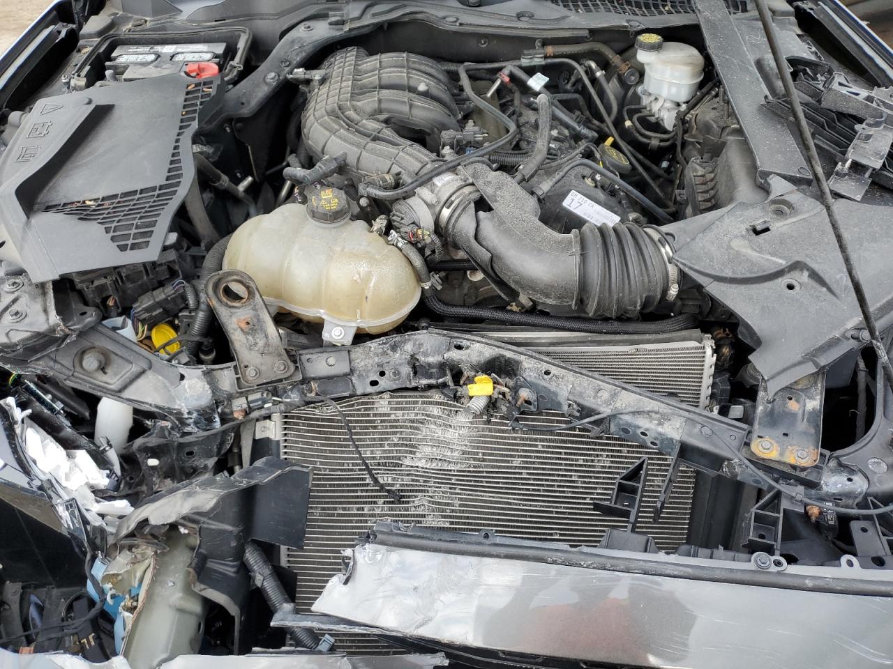 1FA6P8AMXH5299068 2017 Ford Mustang