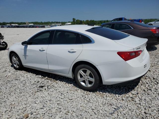 2019 Chevrolet Malibu Ls VIN: 1G1ZB5ST5KF223469 Lot: 54411714