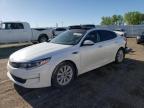 2016 KIA OPTIMA EX - 5XXGU4L35GG084972