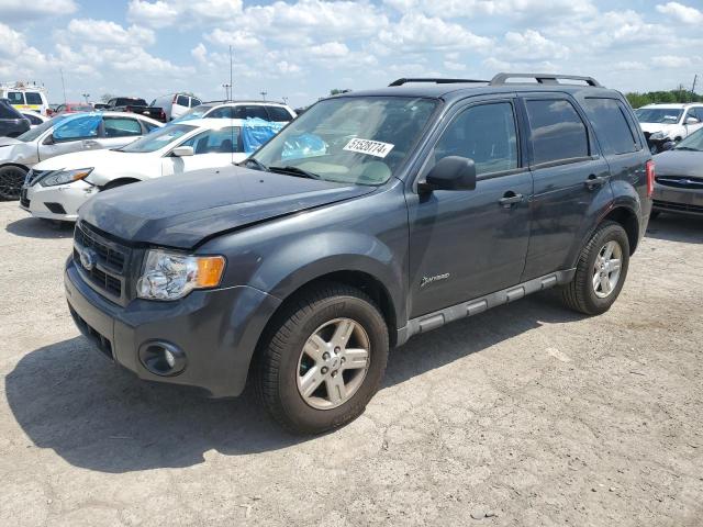 2009 Ford Escape Hybrid VIN: 1FMCU49359KC39935 Lot: 51528774