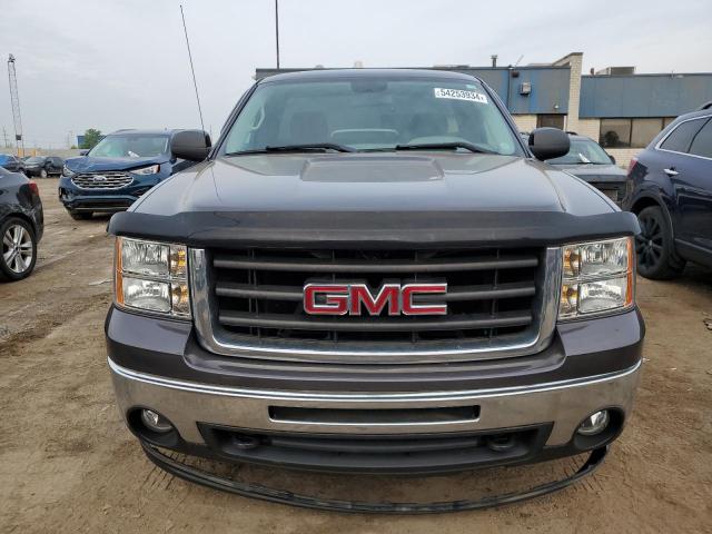 2010 GMC Sierra C1500 VIN: 1GTPCTEXXAZ293187 Lot: 54253934