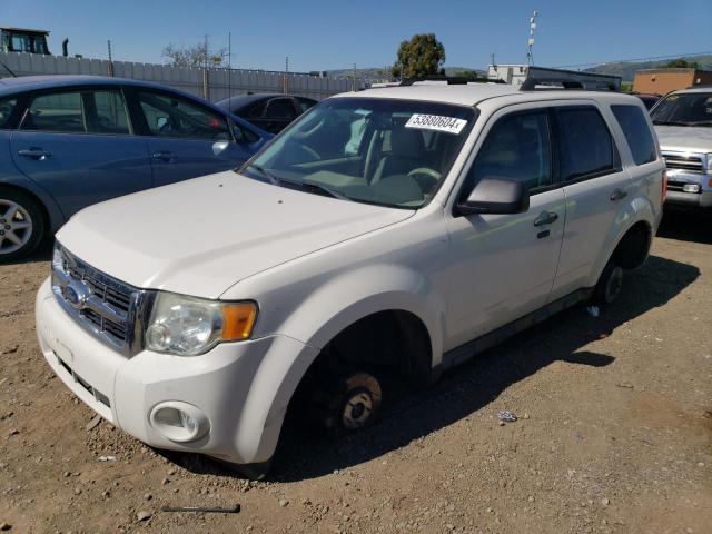 2011 FORD ESCAPE XLT #2994068301