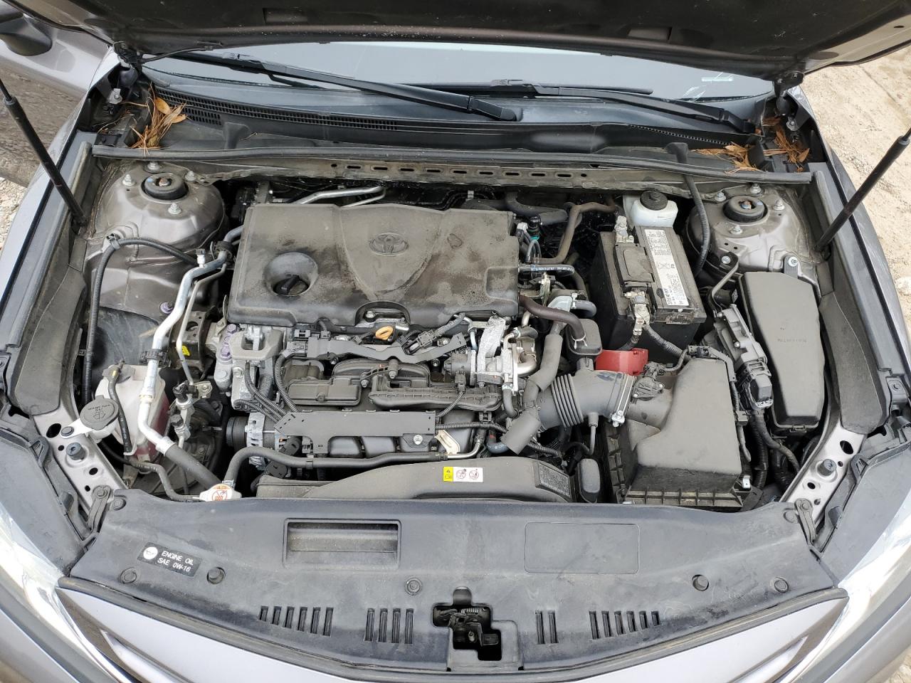 4T1B11HK5KU717955 2019 Toyota Camry L