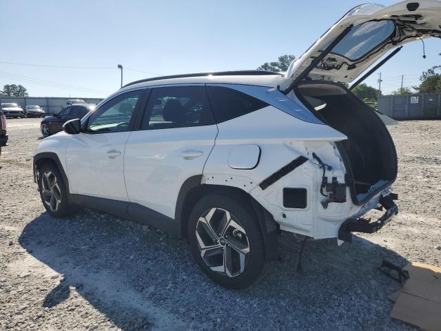 2023 Hyundai Tucson Sel VIN: 5NMJF3AE3PH248395 Lot: 56406534