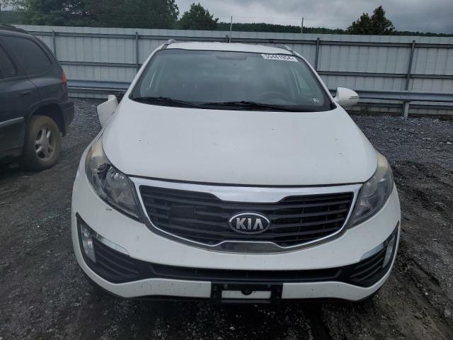 2013 Kia Sportage Ex VIN: KNDPCCA21D7472888 Lot: 55441954