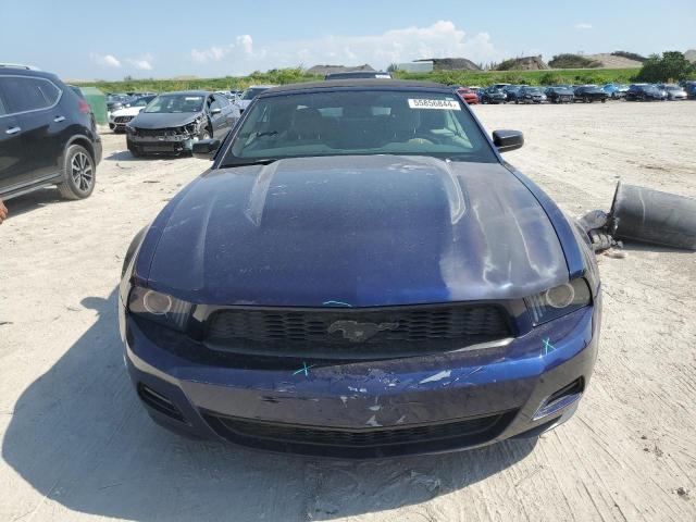 2010 Ford Mustang VIN: 1ZVBP8EN6A5174146 Lot: 55856844