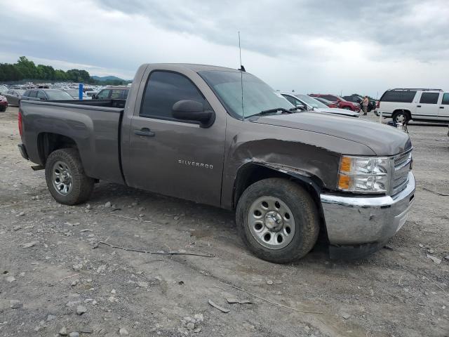 2013 Chevrolet Silverado C1500 VIN: 1GCNCPEX1DZ194924 Lot: 54758834