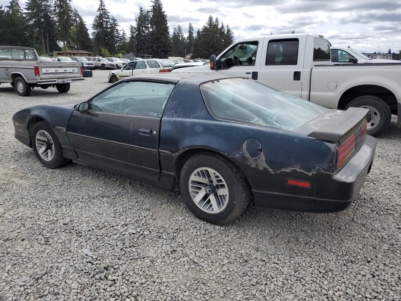 1G2FS21S5KL238674 1989 Pontiac Firebird