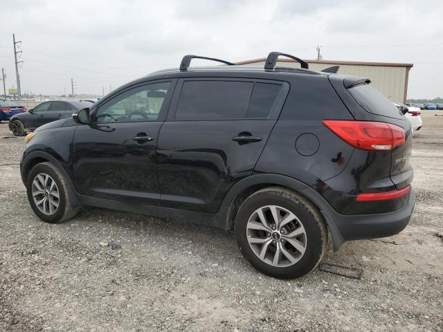 2014 Kia Sportage Base VIN: KNDPB3AC3E7562007 Lot: 55743324