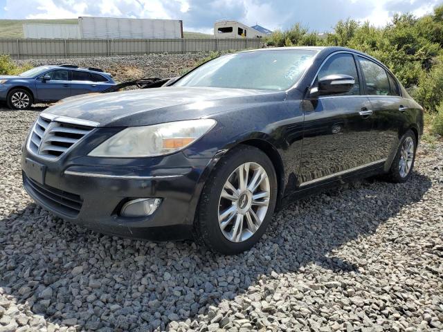 2009 Hyundai Genesis 4.6L VIN: KMHGC46F99U031791 Lot: 54428164