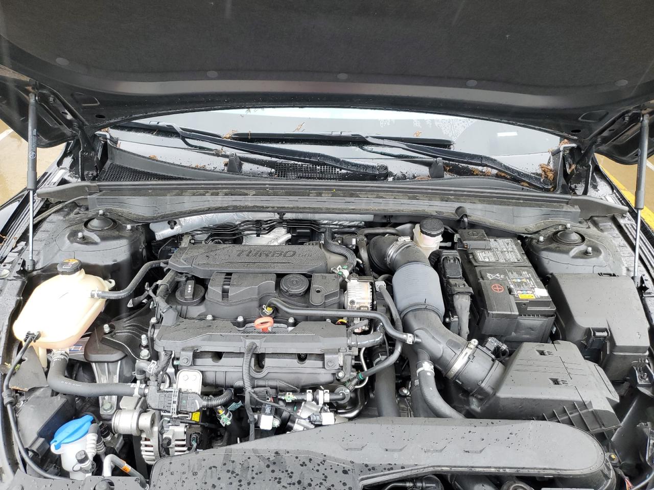 5XXG64J20PG219036 2023 Kia K5 Gt Line