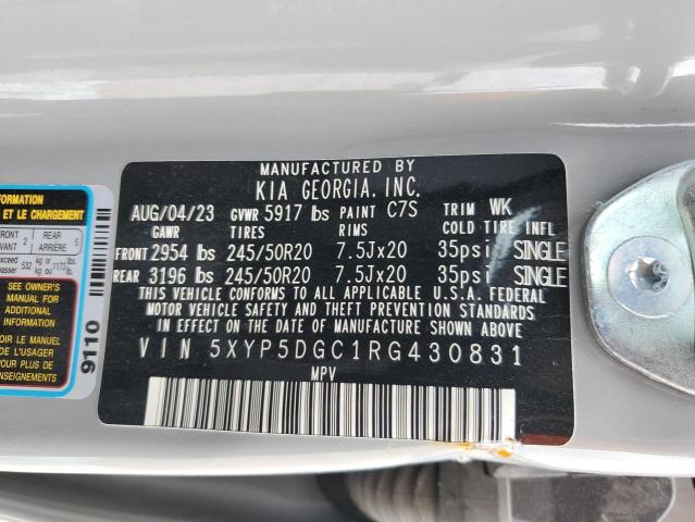 2024 Kia Telluride Sx VIN: 5XYP5DGC1RG430831 Lot: 55185124