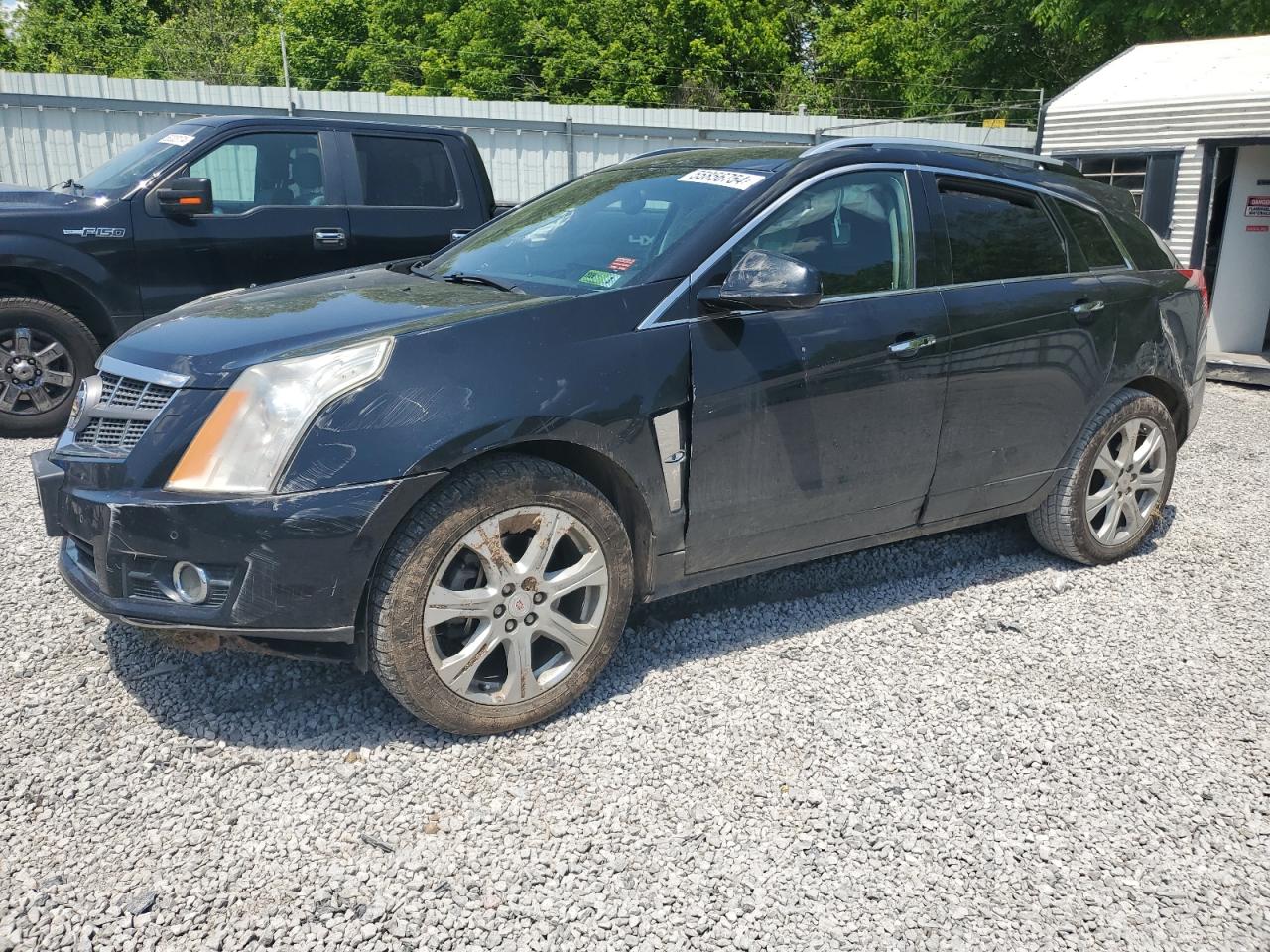 3GYFNBEY6BS670910 2011 Cadillac Srx Performance Collection