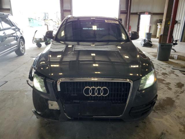 2010 Audi Q5 Premium Plus VIN: WA1LKAFP5AA044244 Lot: 56032324