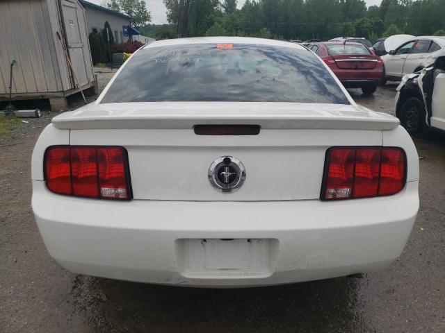 2008 Ford Mustang VIN: 1ZVHT80N885188833 Lot: 53688684